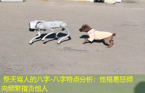  整天骂人的八字-八字特点分析：性格易怒倾向频繁指责他人