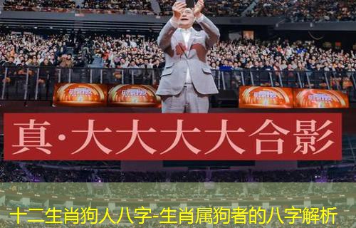  十二生肖狗人八字-生肖属狗者的八字解析