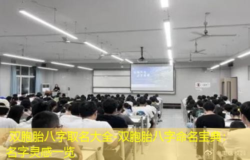  双胞胎八字取名大全-双胞胎八字命名宝典：名字灵感一览