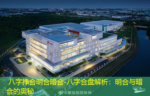  八字挣合明合暗合-八字合盘解析：明合与暗合的奥秘