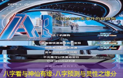  八字看与神仙有缘-八字预测与灵性之缘分