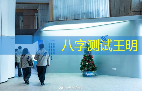  八字测试王明