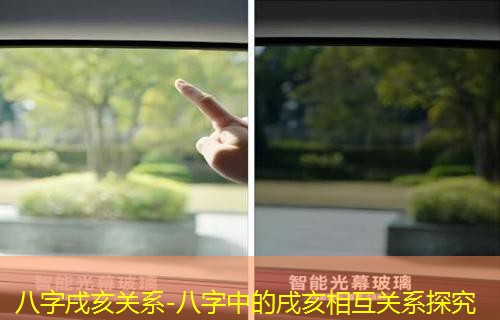  八字戌亥关系-八字中的戌亥相互关系探究