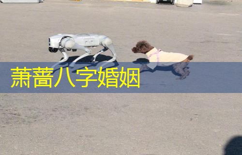  萧蔷八字婚姻