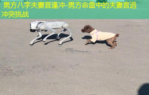  男方八字夫妻宫逢冲-男方命盘中的夫妻宫遇冲突挑战