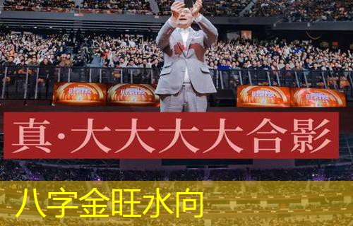  八字金旺水向
