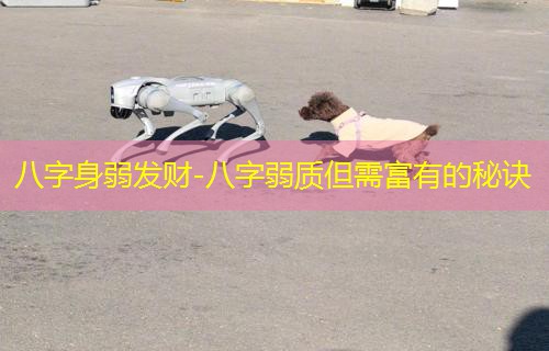  八字身弱发财-八字弱质但需富有的秘诀