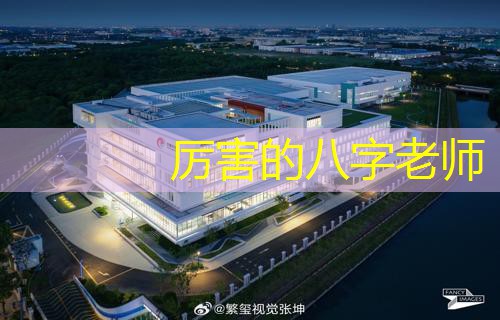  厉害的八字老师