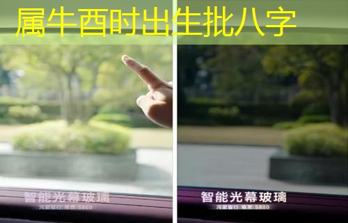  属牛酉时出生批八字
