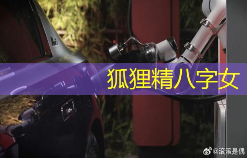  狐狸精八字女