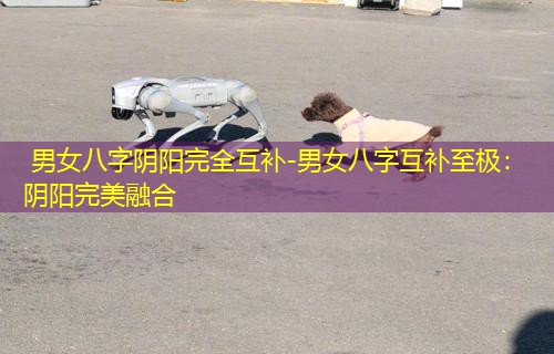  男女八字阴阳完全互补-男女八字互补至极：阴阳完美融合