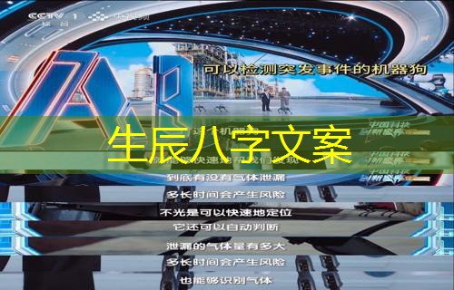  生辰八字文案