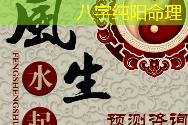  八字纯阳命理