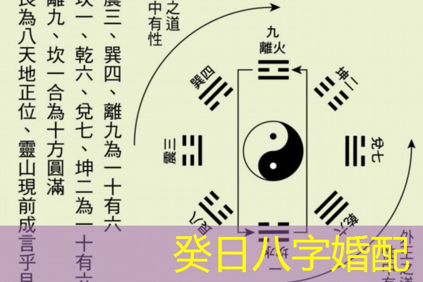  癸日八字婚配