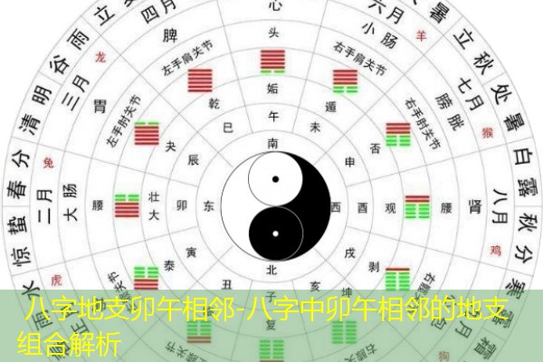  八字地支卯午相邻-八字中卯午相邻的地支组合解析