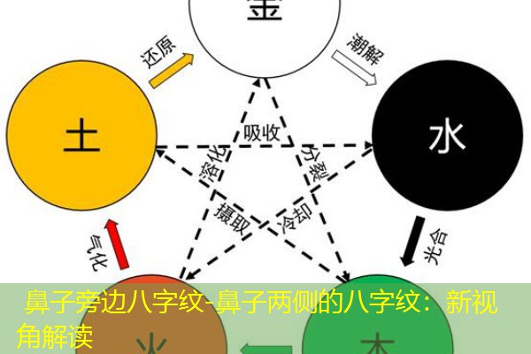  鼻子旁边八字纹-鼻子两侧的八字纹：新视角解读