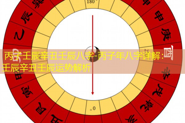  丙子壬辰辛丑壬辰八字-丙子年八字详解：壬辰辛丑壬辰运势解析