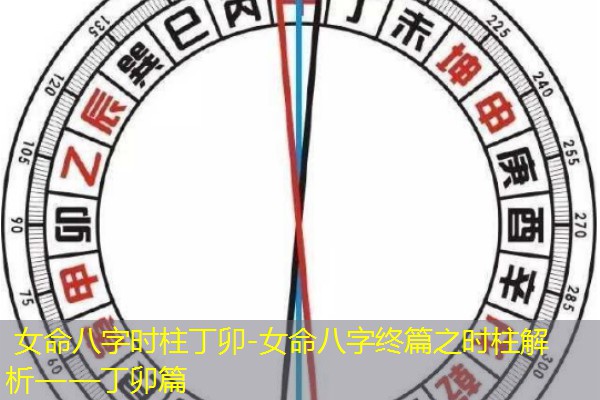  女命八字时柱丁卯-女命八字终篇之时柱解析——丁卯篇