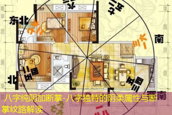  八字纯阴加断掌-八字独特的阴柔属性与断掌纹路解读