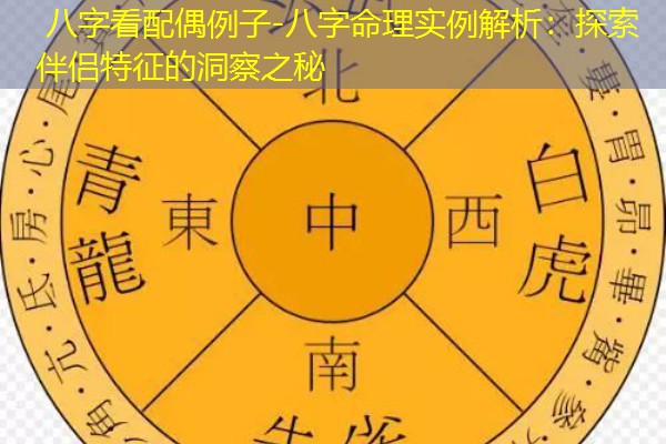  八字看配偶例子-八字命理实例解析：探索伴侣特征的洞察之秘