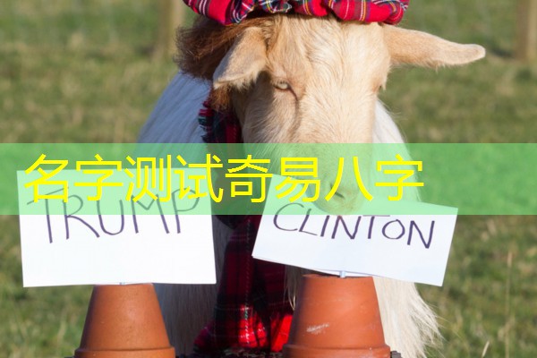  名字测试奇易八字