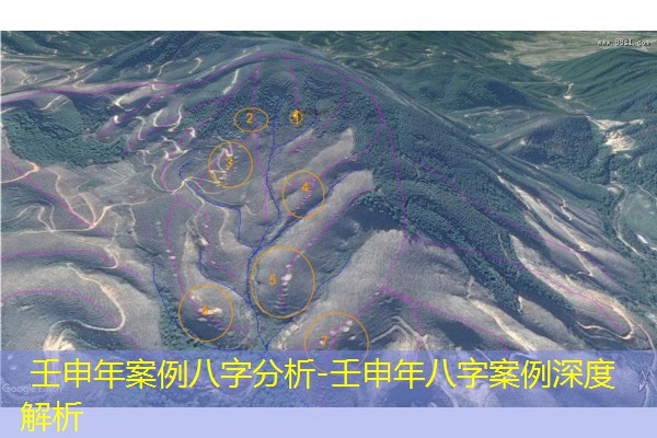  壬申年案例八字分析-壬申年八字案例深度解析