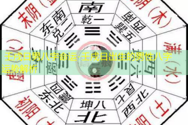  壬戌日男八字命运-壬戌日出生的男性八字运势解析