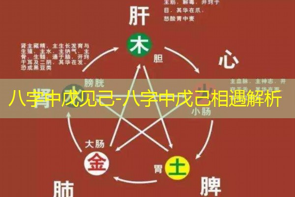  八字中戊见己-八字中戊己相遇解析
