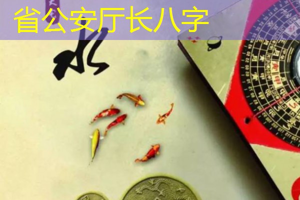  省公安厅长八字
