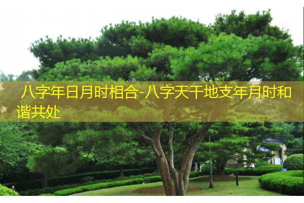  八字年日月时相合-八字天干地支年月时和谐共处