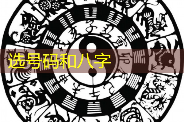  选号码和八字