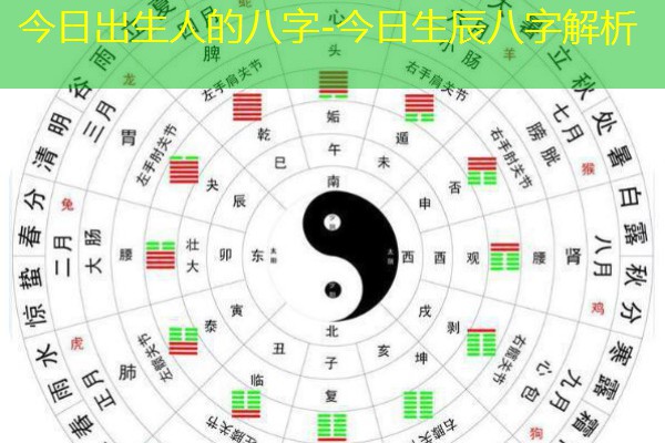  今日出生人的八字-今日生辰八字解析