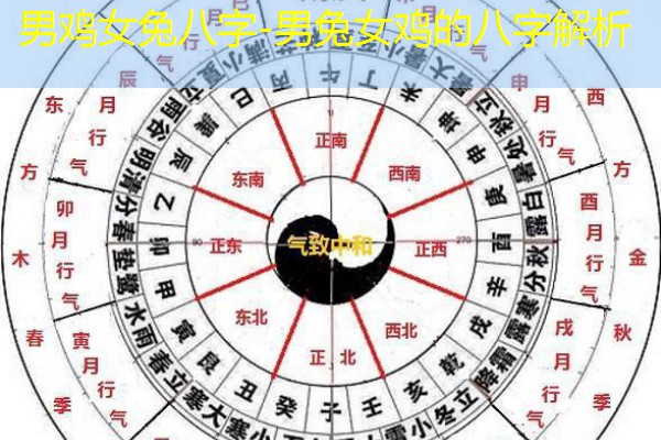  男鸡女兔八字-男兔女鸡的八字解析