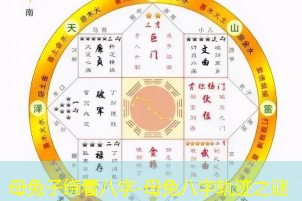  母兔子绕着八字-母兔八字轨迹之谜