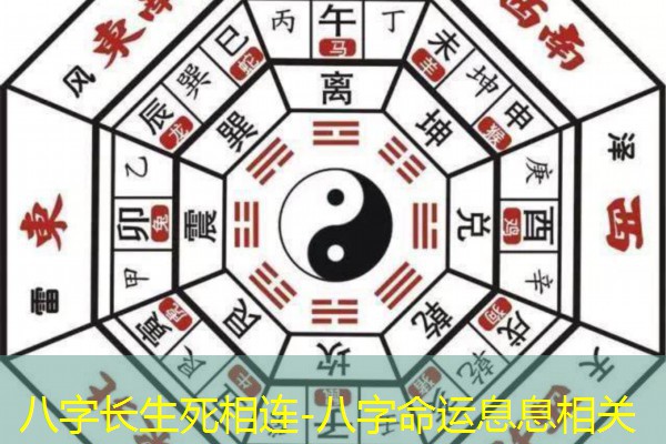  八字长生死相连-八字命运息息相关