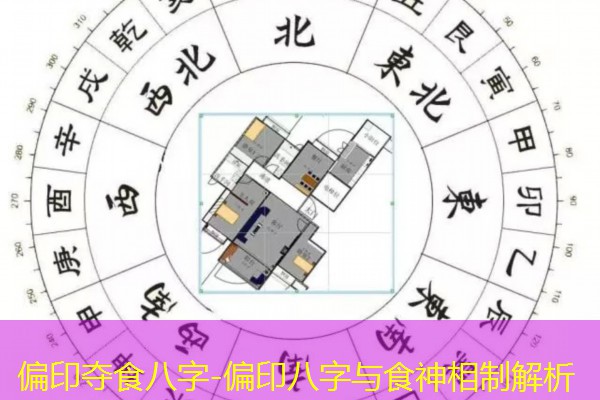  偏印夺食八字-偏印八字与食神相制解析