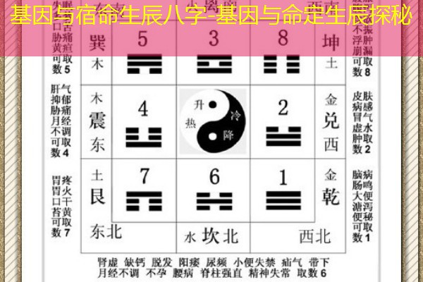  基因与宿命生辰八字-基因与命定生辰探秘