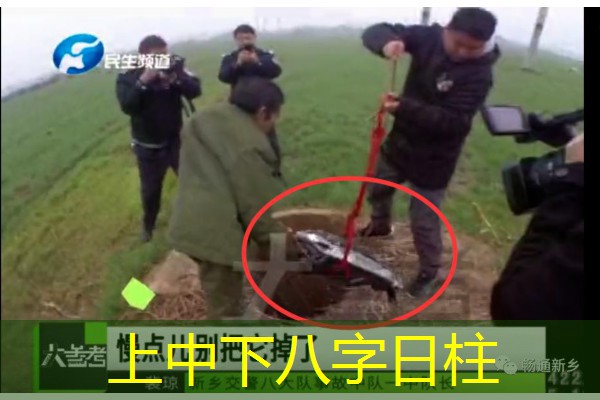  上中下八字日柱