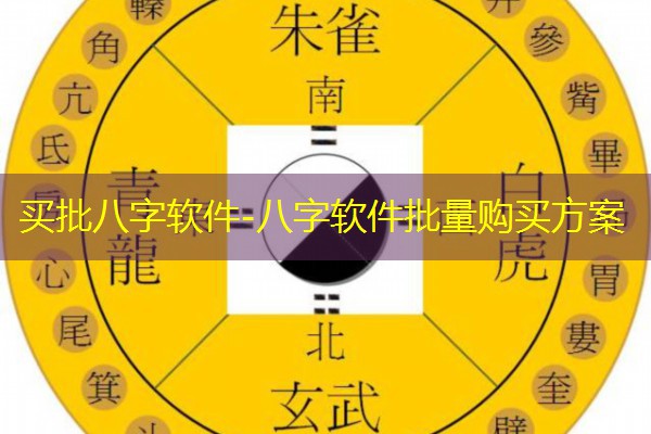  买批八字软件-八字软件批量购买方案