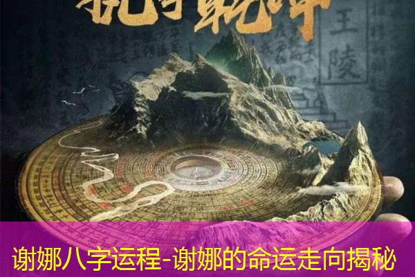  谢娜八字运程-谢娜的命运走向揭秘