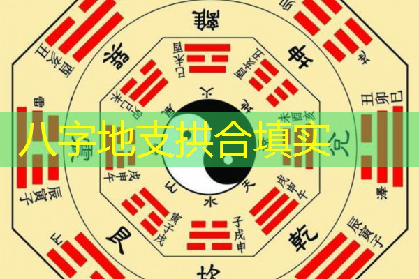  八字地支拱合填实