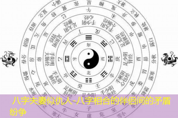  八字夫妻似仇人-八字相合的伴侣间的矛盾纷争