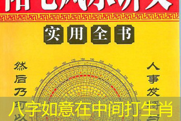  八字如意在中间打生肖