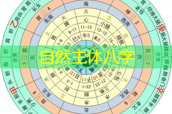  自然主体八字