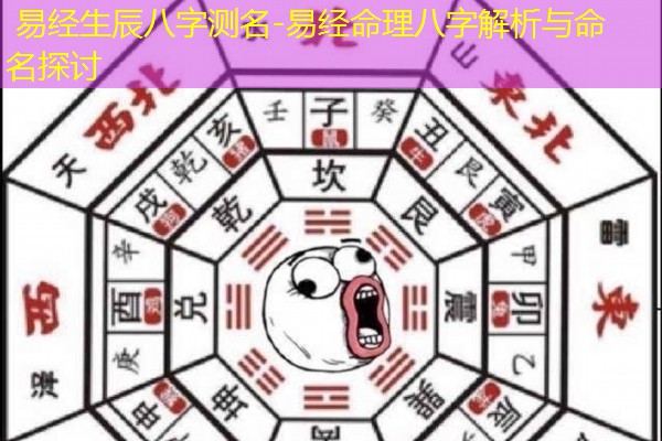  易经生辰八字测名-易经命理八字解析与命名探讨