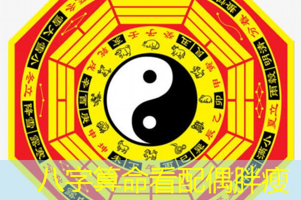 八字算命看配偶胖瘦