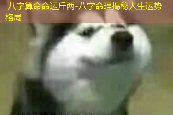  八字算命命运斤两-八字命理揭秘人生运势格局