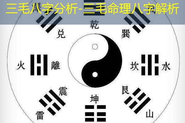  三毛八字分析-三毛命理八字解析