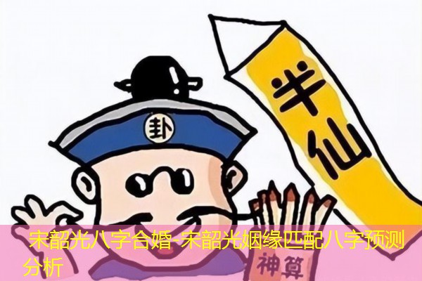  宋韶光八字合婚-宋韶光姻缘匹配八字预测分析