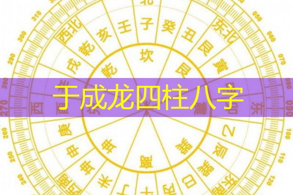  于成龙四柱八字